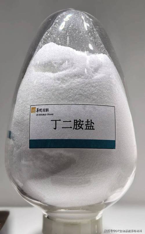 邀您共赴第11届生物基展览 探秘生物基材料的绿色未来